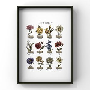 Birth Flowers collection Vintage style poster Illustration Art Print decor